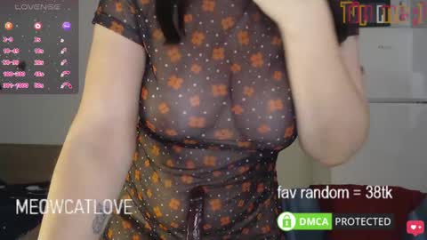 meowcatlove online show from 01/21/25, 08:32