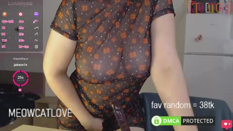 meowcatlove online show from 01/25/25, 08:00