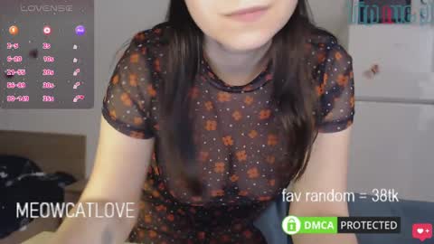 meowcatlove online show from 01/26/25, 08:02