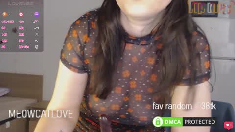 meowcatlove online show from 03/01/25, 10:42