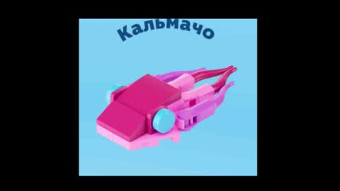 meowcr online show from 12/16/25, 11:54