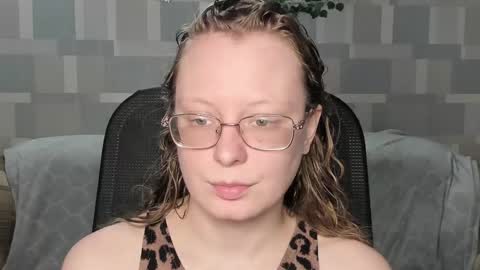 meowcr online show from 01/17/26, 12:21