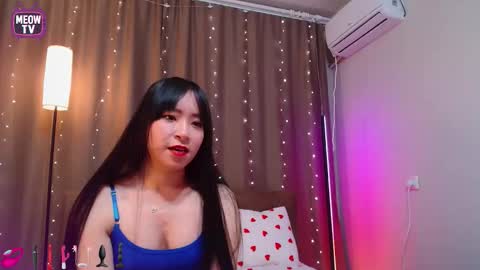 meowkami online show from 02/05/26, 11:42