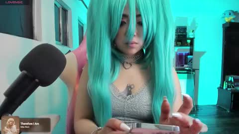 meowmelf online show from 12/02/25, 01:00