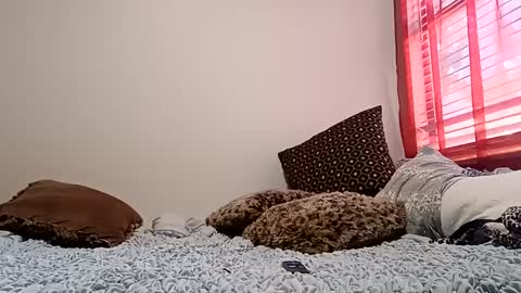 meowzers777 online show from 12/15/24, 06:48