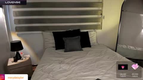 Snapshot of merida_taylor_ chatting on 02/04/26, 01:06 Merida online show from 02/04/26, 01:06