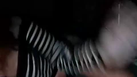 mermaidonland25 online show from 10/05/25, 11:35