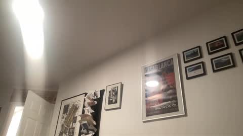 metallica92786 online show from 12/20/25, 12:07