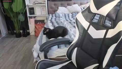 vollmond online show from 02/13/26, 05:36