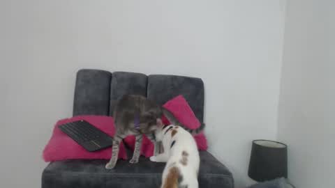 M I A online show from 11/13/25, 11:20