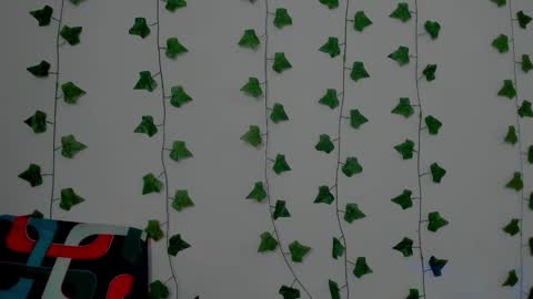 MIA online show from 12/17/25, 09:54