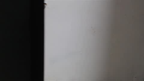 Mia Sepulveda online show from 01/22/25, 04:02