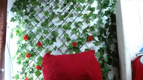 Mia squirt big INDEPENDENT MODEL...ONLYFANS  online show from 12/06/24, 12:49