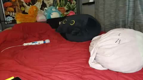 Snapshot of miaelizabethlove chatting on 01/10/25, 11:11 Mia Love online show from 01/10/25, 11:11