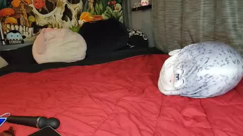 Snapshot of miaelizabethlove chatting on 02/08/25, 06:12 Mia Love online show from 02/08/25, 06:12