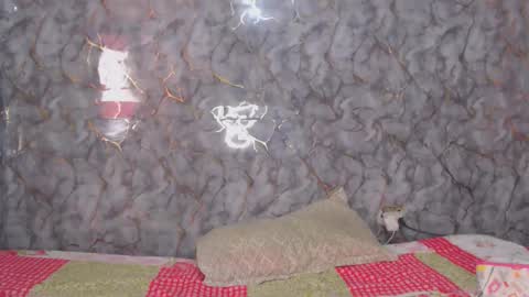 Snapshot of miarouse1531 chatting on 02/07/26, 03:27 miarouse1531 online show from 02/07/26, 03:27