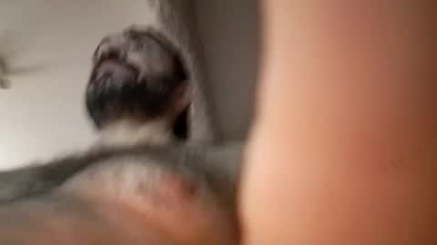 michael666c online show from 02/27/25, 09:00