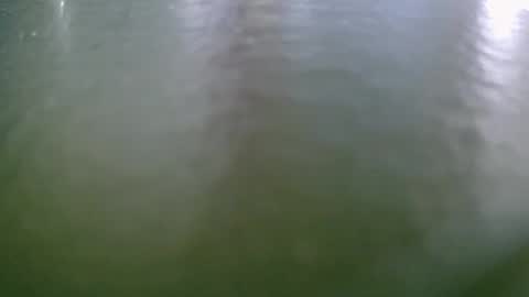 michelclaude online show from 10/15/25, 08:03