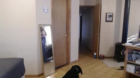 Snapshot of michelle209 chatting on 02/13/25, 03:56 Michelle online show from 02/13/25, 03:56