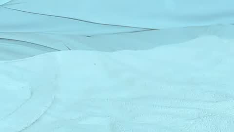 Michelle daniels online show from 12/18/24, 12:54