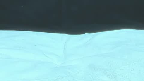 Michelle daniels online show from 12/30/24, 08:36