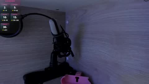 michellepreston_ online show from 02/20/26, 11:54