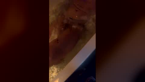 michelsexy69603790 online show from 04/12/26, 03:44