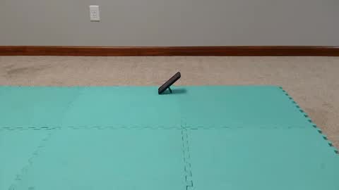 mick_stag online show from 02/24/26, 07:01