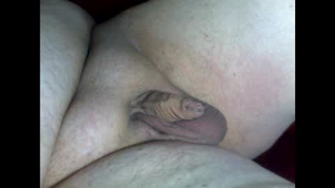 micropimmel online show from 01/30/25, 06:10