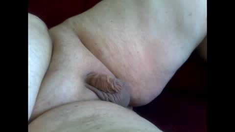 micropimmel online show from 01/18/26, 12:53