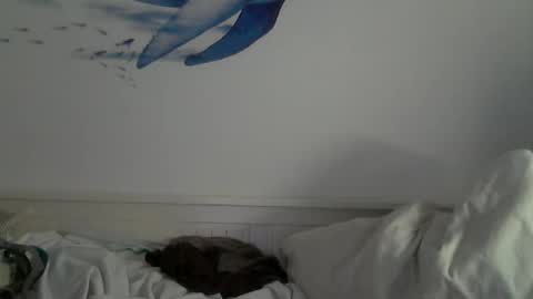 Snapshot of midhir chatting on 01/31/25, 04:59 kike online show from 01/31/25, 04:59