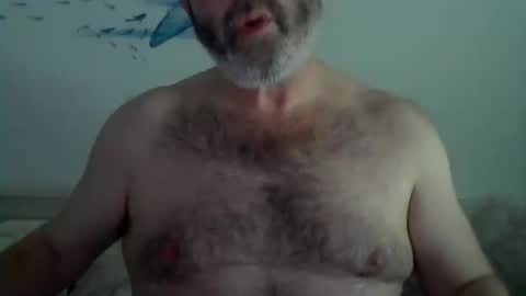 Snapshot of midhir chatting on 02/14/25, 04:20 kike online show from 02/14/25, 04:20