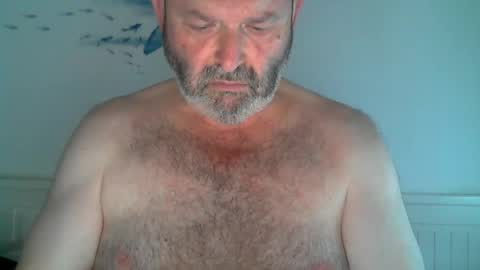Snapshot of midhir chatting on 06/27/26, 12:44 kike online show from 06/27/26, 12:44