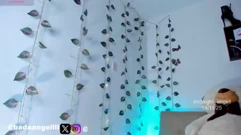       online show from 11/15/25, 12:08