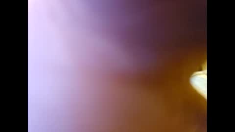 Snapshot of midwest_stroker chatting on 11/29/25, 03:31 Midwest stroker online show from 11/29/25, 03:31