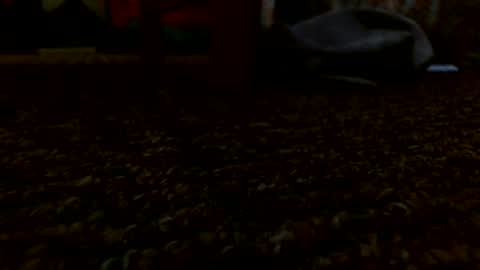 Miggy online show from 12/24/24, 05:55