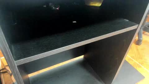 Snapshot of miia_taylor_1_ chatting on 02/24/25, 11:10 Mia online show from 02/24/25, 11:10