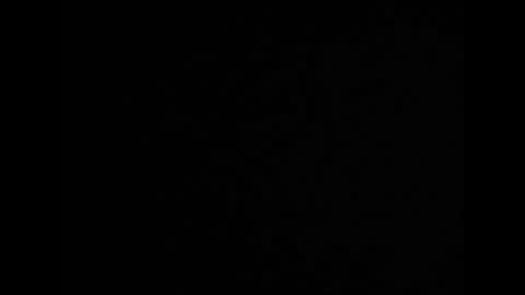 mike66730 online show from 03/03/26, 08:15