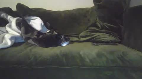 Snapshot of mike_davis44444 chatting on 01/31/25, 07:07 mike_davis44444 online show from 01/31/25, 07:07