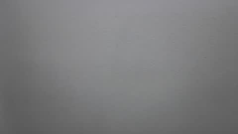 mikehannigan123 online show from 02/19/26, 04:47