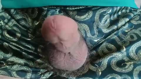 miketrike137 online show from 04/22/26, 10:22