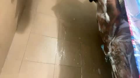 Snapshot of mikeyblunt chatting on 02/25/25, 01:28 mikeyblunt online show from 02/25/25, 01:28