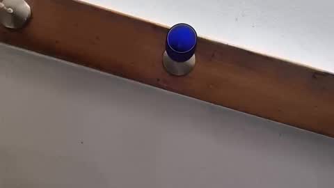 Snapshot of miky17cm chatting on 01/12/26, 12:27 miky17cm online show from 01/12/26, 12:27