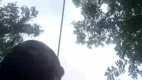 Snapshot of miky17cm chatting on 01/12/26, 07:41 miky17cm online show from 01/12/26, 07:41