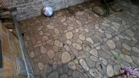 Snapshot of miky17cm chatting on 01/15/26, 05:01 miky17cm online show from 01/15/26, 05:01