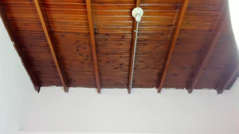 Mila Rose online show from 01/15/25, 11:53