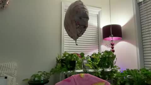 Snapshot of milf_goddess chatting on 07/13/26, 02:36 MIlf Goddess online show from 07/13/26, 02:36