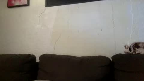 BabygirlsFreaky online show from 05/24/26, 03:17