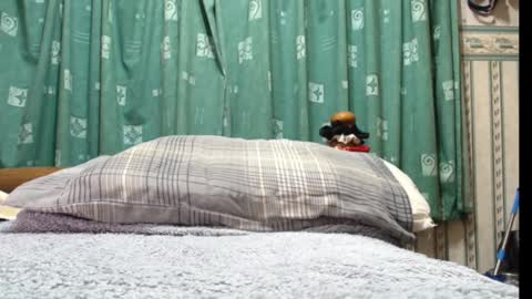 milfy72 online show from 01/30/25, 10:41