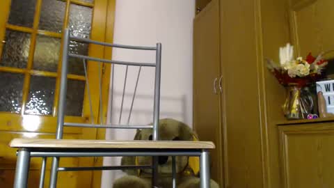 Snapshot of milk_and_hon3y chatting on 12/04/24, 06:11 Im  to see you here Pvts are open  I love patterns soo much online show from 12/04/24, 06:11